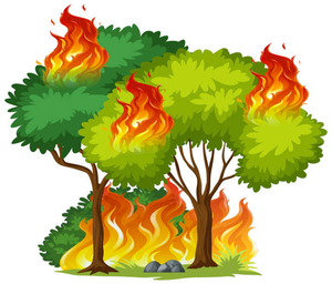 Post regarding fires in Northern California ---116