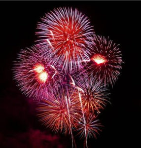Safely Enjoy the 4th of July ---012