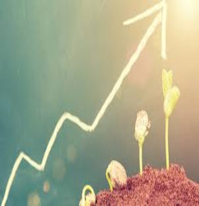 ADAPTING TO A GROWING BUSINESS ---097