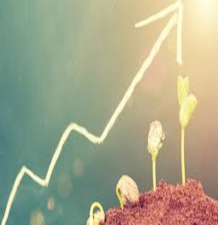 ADAPTING TO A GROWING BUSINESS ---097